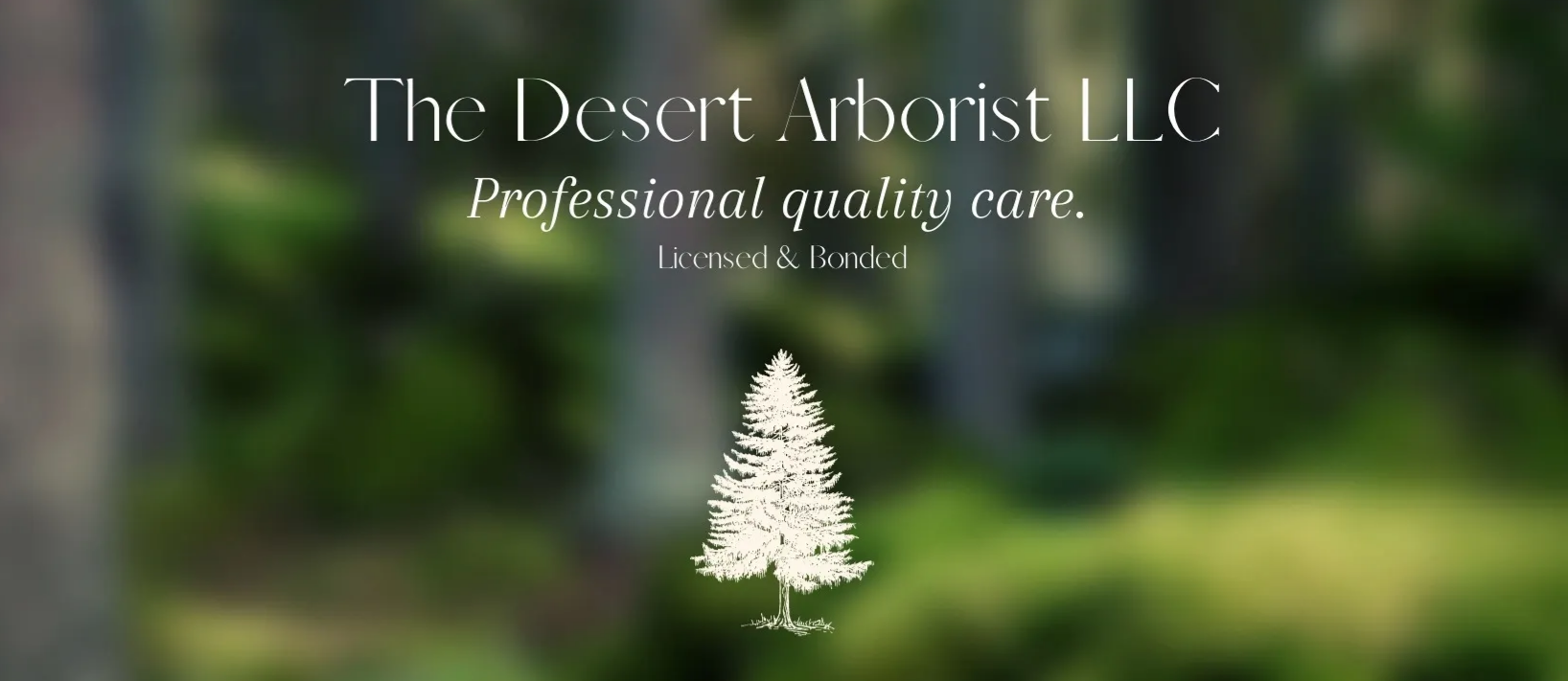 The Desert Arborist