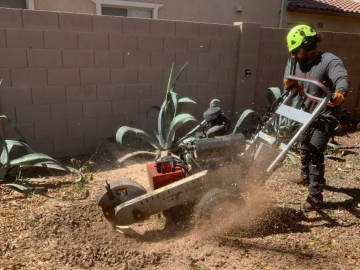 PROFESSIONAL STUMP GRINDING